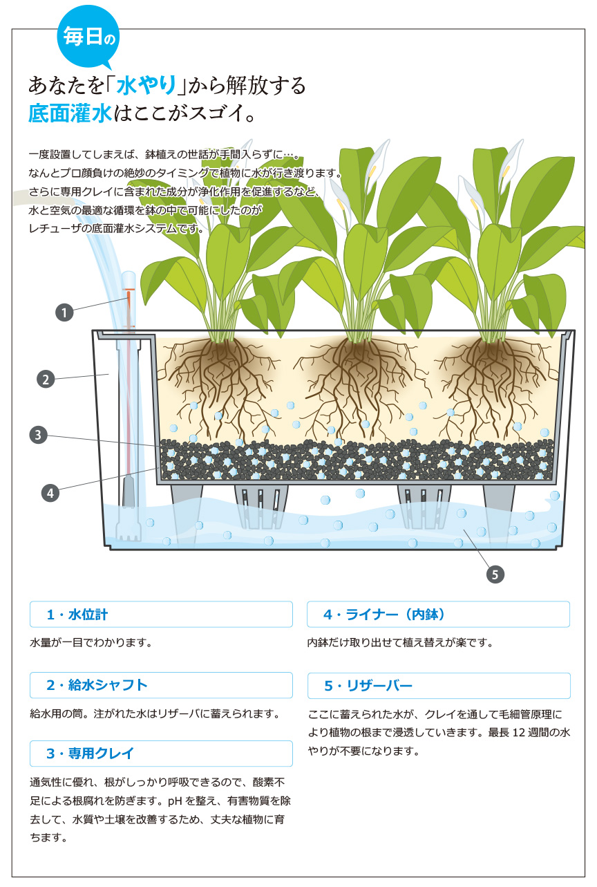 レチューザ【バルコネラストーン50】