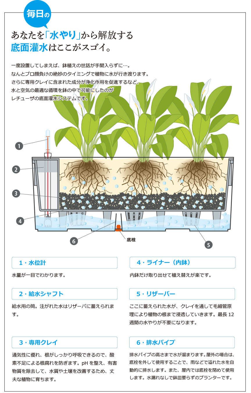 バルコネラ底面給水の仕組み