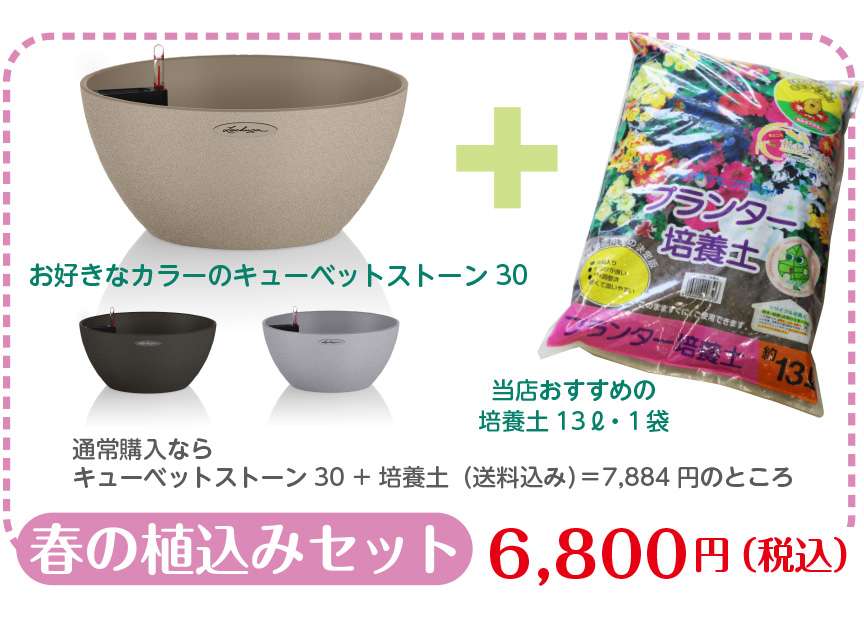 レチューザ【キューベット】室内使いにもちょうどいいサイズ