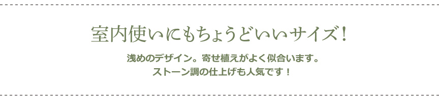 レチューザ【キューベット】
