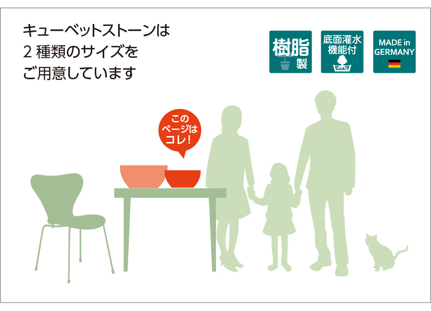 レチューザ【キューベット】