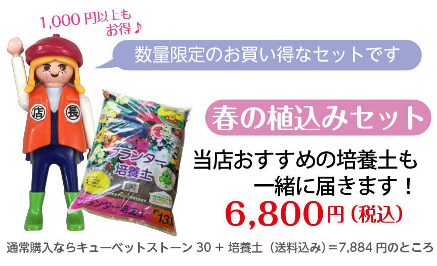 レチューザ【キューベット】