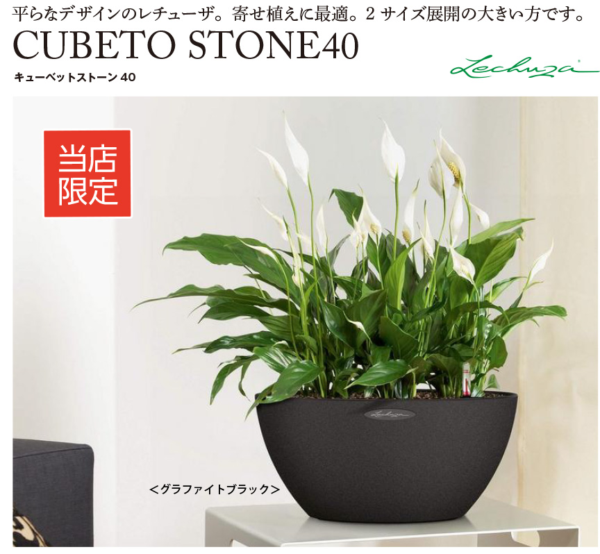 底面給水機能付きプランター【レチューザエコノミー】キュー