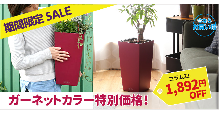 レチューザコラム22セール