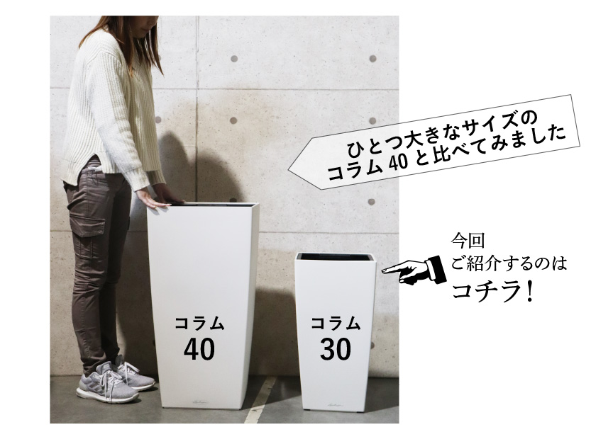 レチューザ訳アリセール