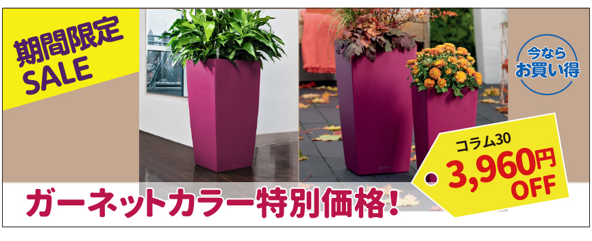 レチューザコラム30セール