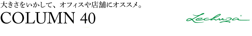 レチューザ【コラム40】