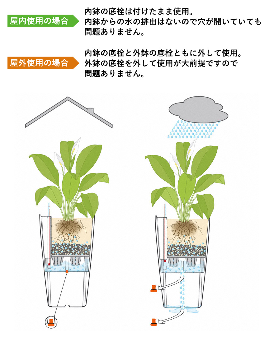レチューザ訳アリセール