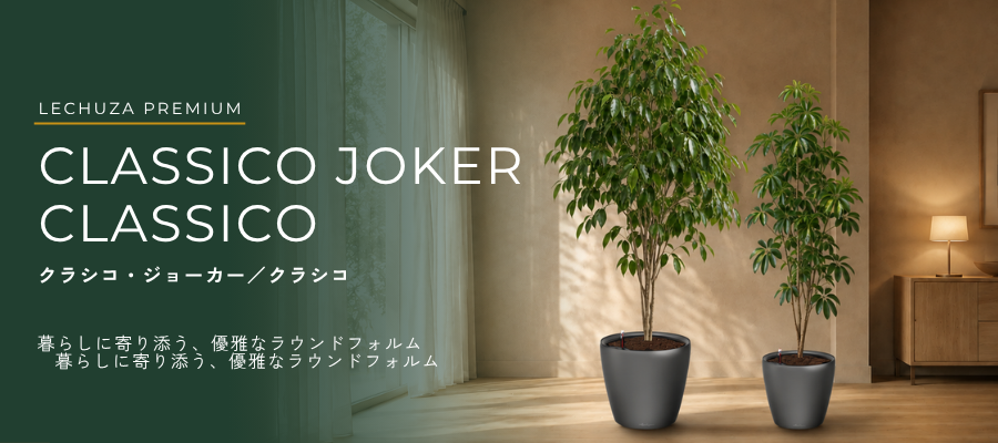 クラシコジョーカーとクラシコ