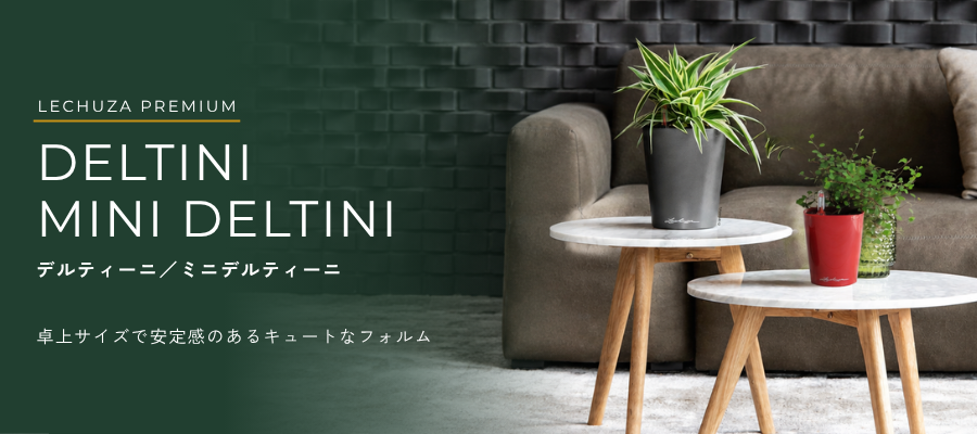デルティーニシリーズ各種