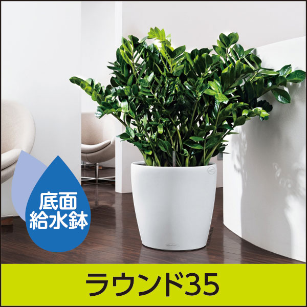 レチューザラウンド