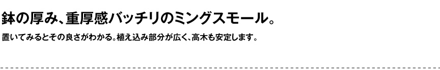 セラルンガデザイナーズ【ミングスモール】