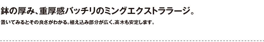 セラルンガデザイナーズ【ミングエクストララージ】