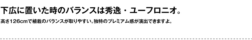 セラルンガデザイナーズ【ユーフロニオ】