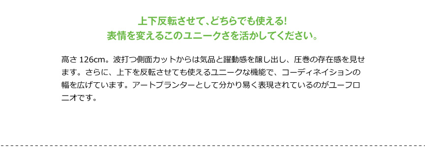 異彩を放つプランター【ユーフロニオ】｜セラルンガデザイナーズ