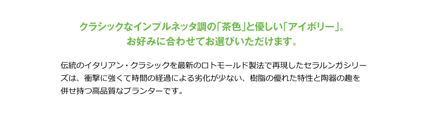 伝統樹脂【ボルダートリスチオ58】