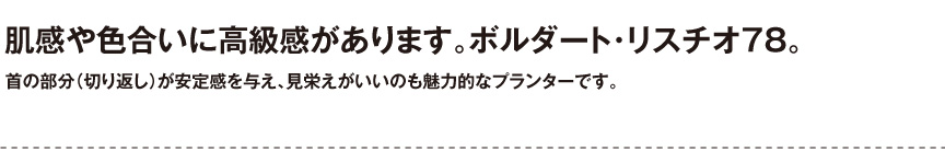 伝統樹脂【ボルダートリスチオ78】