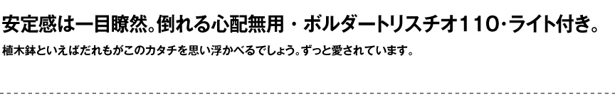 ライト【ボルダートリスチオライト110屋外】