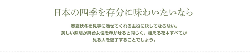 ライト【ジューン屋内】