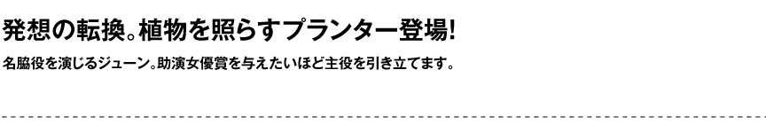 ライト【ジューン屋外】