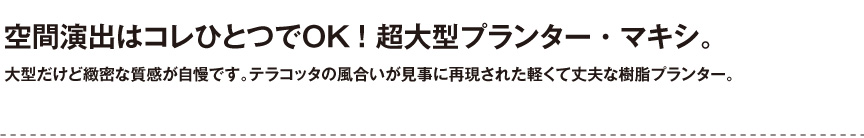 伝統樹脂【マキシ】
