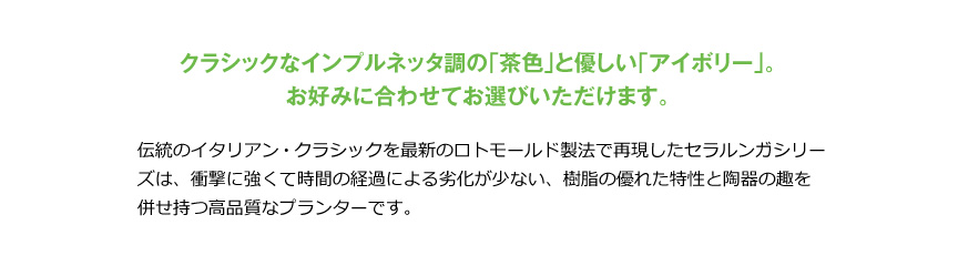 伝統樹脂【マキシ】