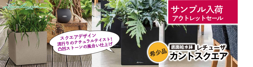 ヨーロッパから直輸入 プロ仕様 植木鉢専門店プランタープロショップ