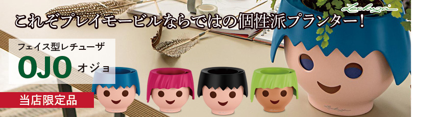 オジョ