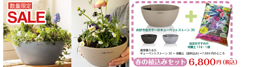 キューベット30SALEセット