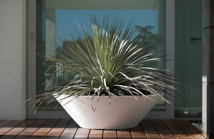 ボンドム【セントロ・シングル50】