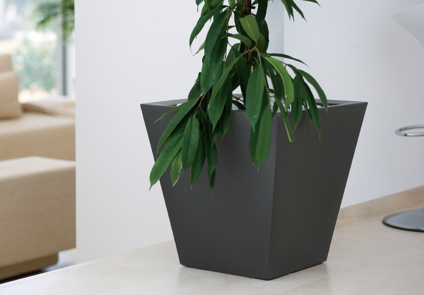 ボンドム【角型コノ・シングル50】