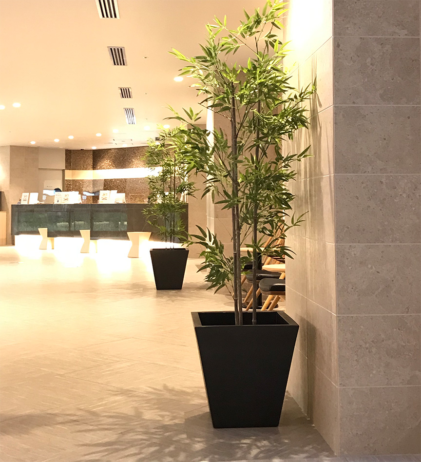 ボンドム【角型コノ・シングル50】