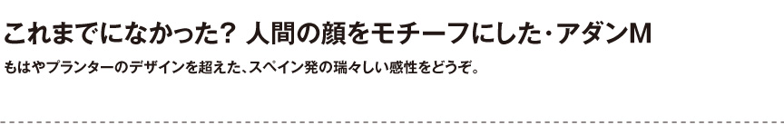 ボンドム【アダンM】