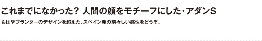 ボンドム【アダンS】