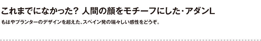 ボンドム【アダンL】