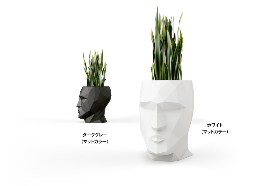 ボンドム【アダンL】