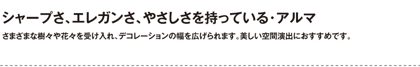 ボンドム【アルマ】