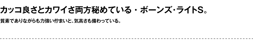 ライト【ボーンズライトS屋内】