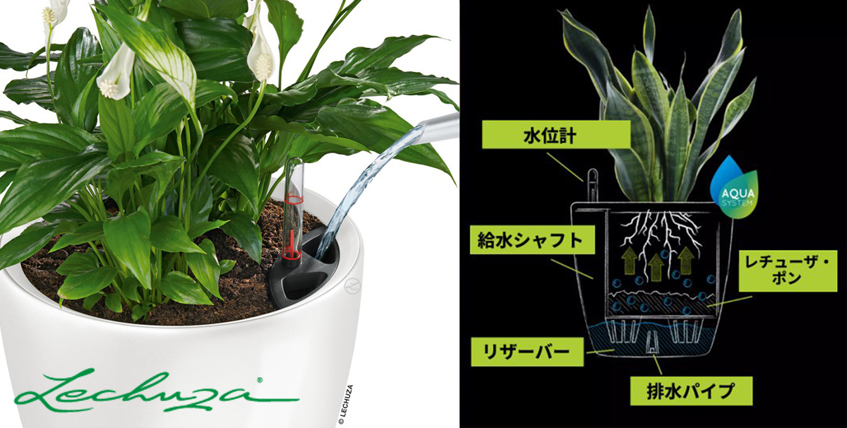 レチューザプランターは真夏の水やりの救世主