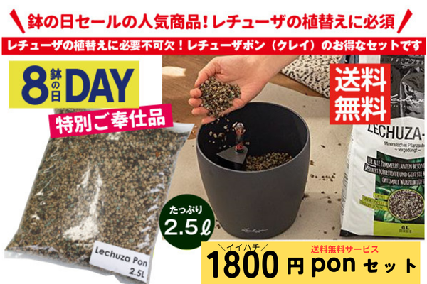 鉢の日恒例送料無料1800円PON2.5L