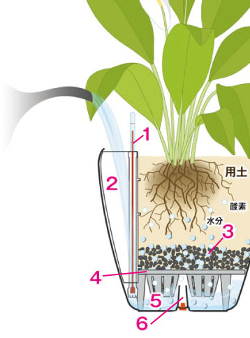 レチューザ底面灌水断面図